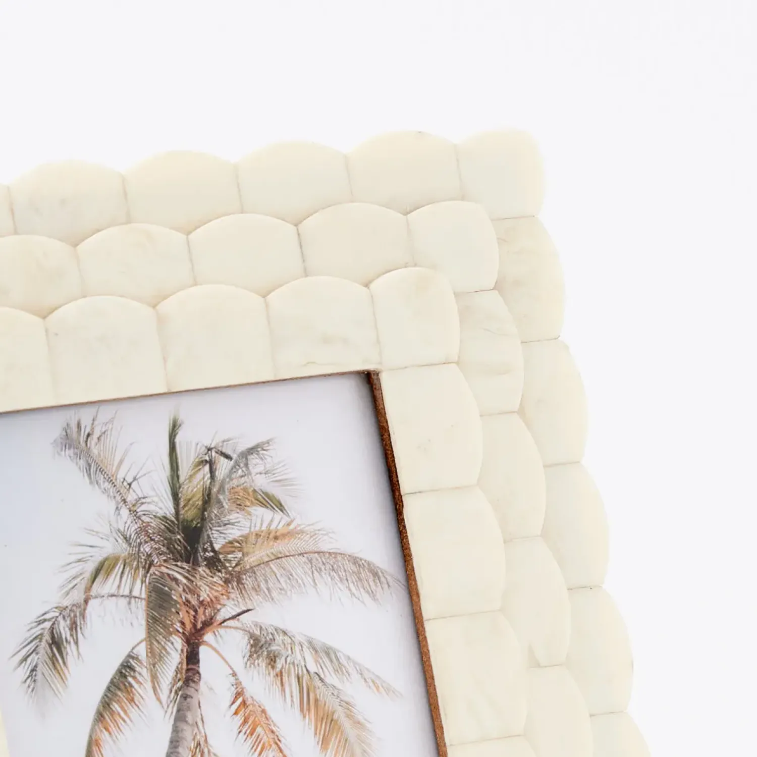 GigiandTom Scalloped Bone Photo Frame Ivory* Decorative Objects & Trays
